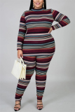Red Fashion Casual Long Sleeve O Neck Regular Sleeve Regular Striped Print Two Pieces