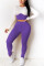 Purple Fashion Casual Long Sleeve O Neck Regular Sleeve Short Patchwork Two Pieces