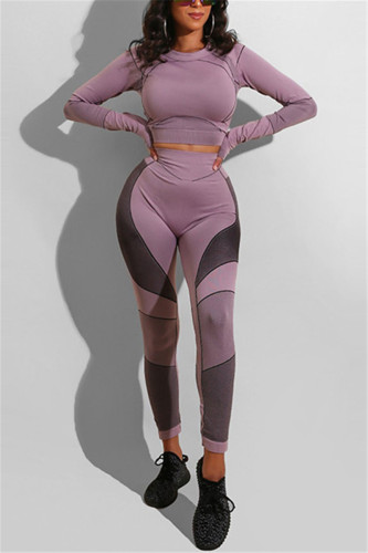 Purple Casual Sportswear Long Sleeve O Neck Regular Sleeve Short Print Two Pieces