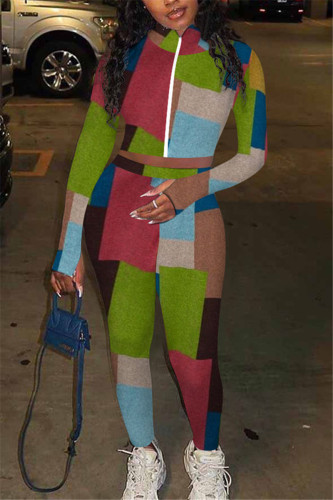 multicolor Fashion Sexy Adult Patchwork Print Patchwork O Neck Long Sleeve Regular Sleeve Regular Two Pieces