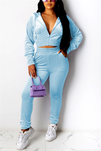 Blue Fashion Casual Hooded Collar Regular Sleeve Short Solid Two Pieces