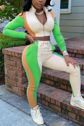 Green Fashion Casual Adult Patchwork Solid Patchwork O Neck Long Sleeve Regular Sleeve Regular Two Pieces