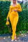 Yellow Fashion Casual Long Sleeve V Neck Regular Sleeve Short Solid Two Pieces