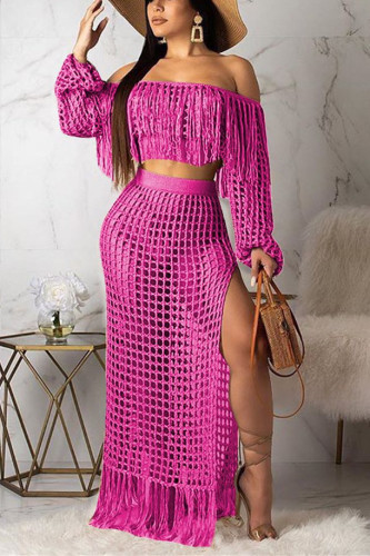 Pink Mesh Tassels Beach Skirt Two Piece Suit