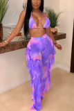 Colorful Sexy Mesh Printing Swimsuit Two-piece Set