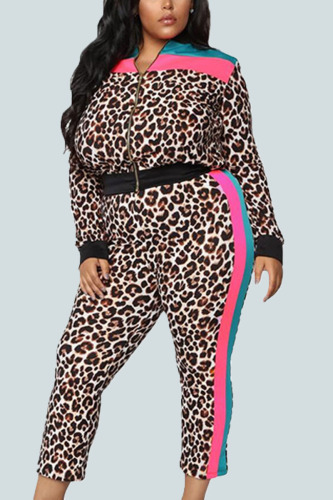 Leopard print Sexy Knitting Print Leopard Patchwork O Neck Plus Size Set