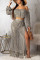Grey Mesh Tassels Beach Skirt Two Piece Suit