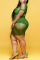 Black Sexy Perspective Mesh Plus Size Dress