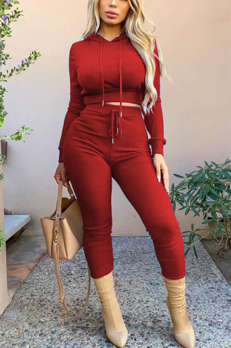 Wine Red Casual Solid Patchwork Hooded Collar Long Sleeve Two Pieces