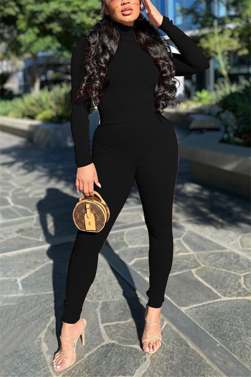 

Black Fashion Casual Solid Basic Turtleneck Long Sleeve Two Pieces