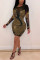 Gold Fashion Sexy Patchwork Patchwork See-through O Neck Long Sleeve Dress