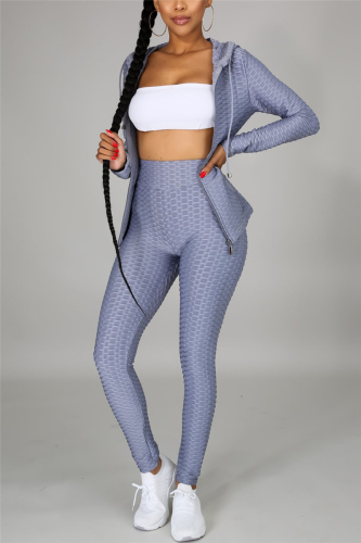 Grey Fashion Casual Solid Basic Zipper Collar Long Sleeve Two Pieces