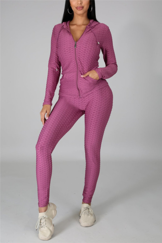 purple Fashion Casual Solid Basic Zipper Collar Long Sleeve Two Pieces