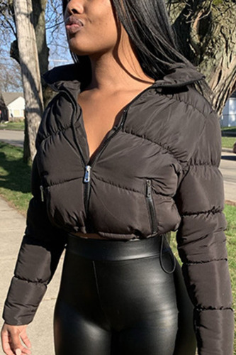 Black Casual Solid Turndown Collar Outerwear