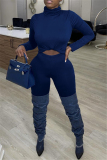 Blue Casual Solid Basic Turtleneck Long Sleeve Two Pieces