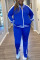 Blue Casual Sportswear Polyester Knitting Striped Print Solid Pierced Hollowed Out Slit Zipper Collar Plus Size 
