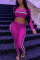 Pink Work Daily Solid V Neck Long Sleeve Two Pieces