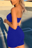 Royal Blue Fashion Sexy Solid Backless Strapless Sleeveless Two Pieces