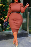 Brick Red Fashion Casual Plus Size Solid Without Belt Turtleneck Long Sleeve Dress