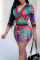 Multi-color Euramerican Printed Twilled Satin Two-piece Skirt Set
