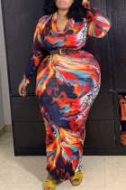 Multicolor Fashion Casual Print Without Belt Long Sleeve Plus Size Dress