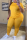 Yellow Casual Solid Split Joint O Neck Plus Size 