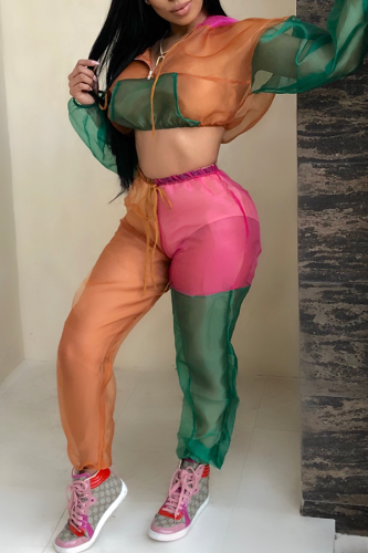 Green Casual Hooded Collar Patchwork Blending Two-piece Pants Set