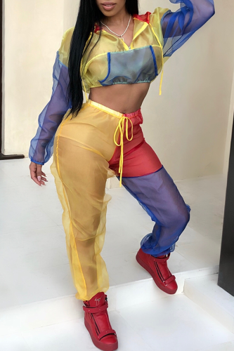 Yellow Casual Hooded Collar Patchwork Blending Two-piece Pants Set