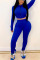 Peacock blue Fashion Sexy adult Ma'am Solid Two Piece Suits pencil Long Sleeve Two Pieces