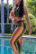 Multicolor Fashion Sexy Printed Grid Two-Piece Set
