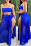 Blue Fashion Sexy Solid See-through Backless Swimwears Set