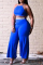 Deep Blue Sexy Casual Solid Backless Spaghetti Strap Plus Size Two Pieces