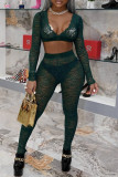 Green Fashion Sexy Solid See-through V Neck Two Pieces
