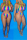 Multi-color Asymmetrical crop top Striped Sexy Fashion Bikinis Set