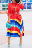 Colour Casual Printed Pleated Skirt