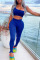 Blue Sexy Solid Split Joint Backless Asymmetrical One Shoulder Sleeveless Two Pieces