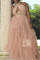 Pink Sexy Solid Hollowed Out Backless Halter Evening Dress