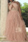 Pink Sexy Solid Hollowed Out Backless Halter Evening Dress