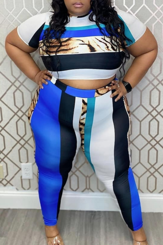 Blue Casual Print Patchwork O Neck Plus Size Two Pieces