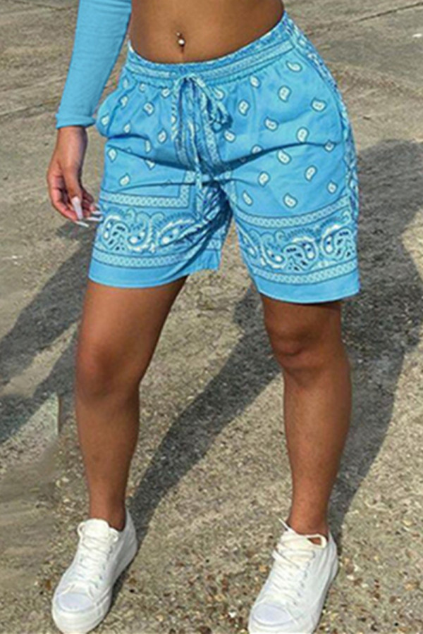 Baby Blue Fashion Casual Print Basic Regular Mid Waist Shorts