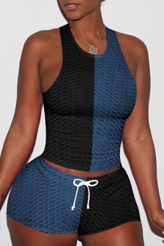 Tibetan Blue Casual Sportswear Patchwork Basic O Neck Sleeveless Two Pieces