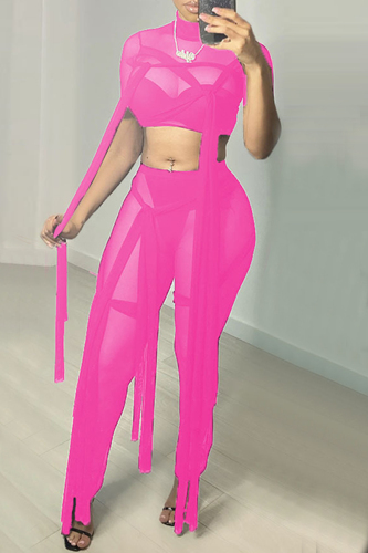 Pink Fashion Sexy Solid Patchwork See-through Turtleneck Short Sleeve Two Pieces