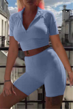 Light Blue Fashion Casual Solid Basic Turndown Collar Short Sleeve Two Pieces