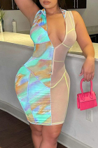 Lake Blue Fashion Sexy Print Split Joint See-through Zipper Collar Sleeveless Dress