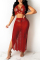 Red Fashion Sexy Solid See-through Backless Halter Sleeveless Two Pieces