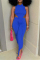 Blue Fashion Casual Solid Vests Asymmetrical Half A Turtleneck Sleeveless Two Pieces