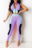 Purple Sexy Color Block Patchwork Zipper Collar Sleeveless Two Pieces