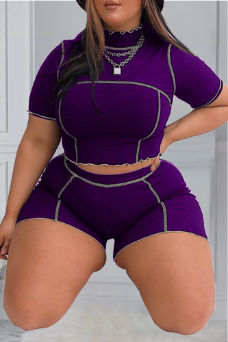 Purple Casual Solid Patchwork Turtleneck Plus Size Two Pieces