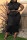 Black Fashion Casual Solid Fold O Neck Plus Size Two Pieces