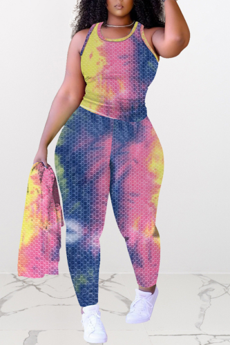 Pink Sexy Patchwork Patchwork O Neck Sleeveless Two Pieces